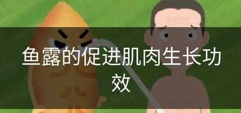 鱼露的促进肌肉生长功效